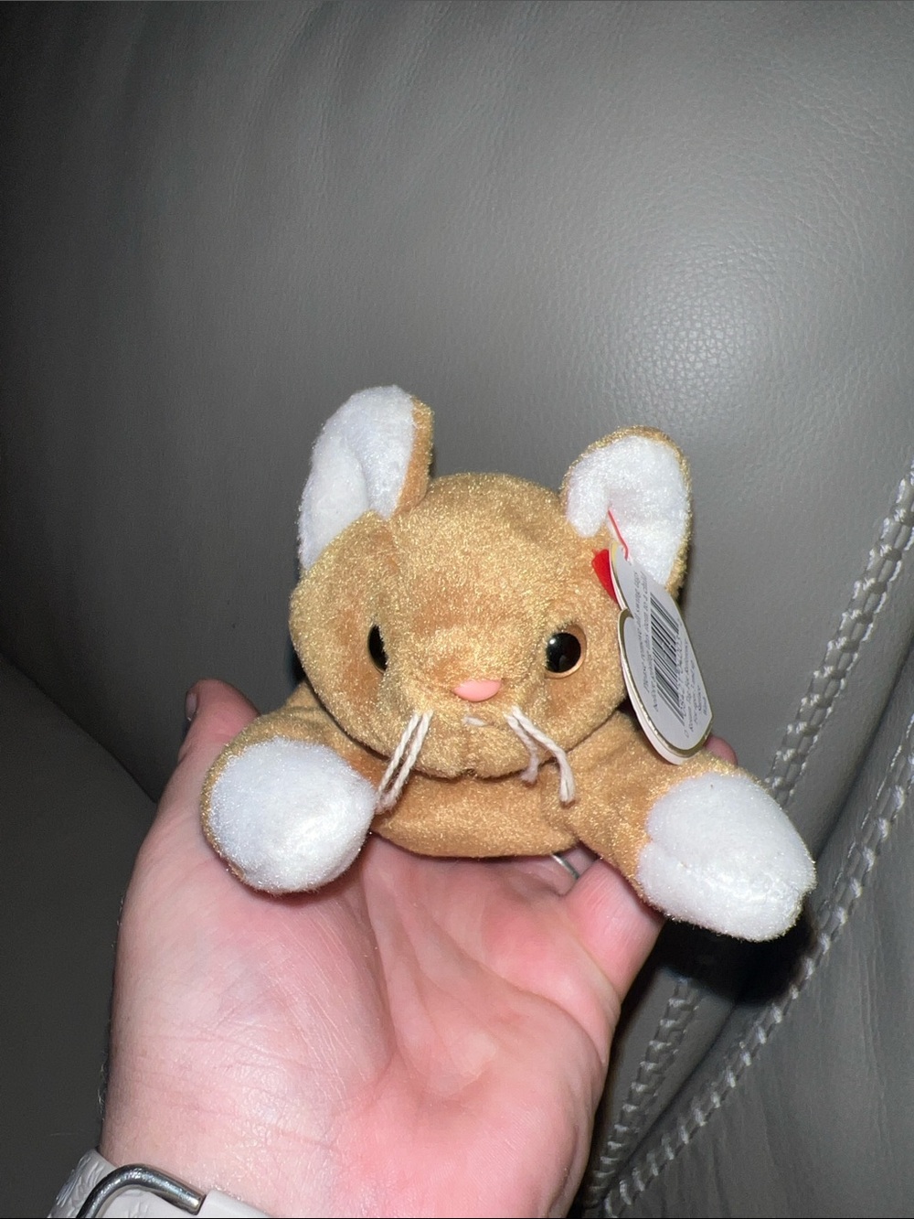 Nip the Cat Beanie Baby Plush